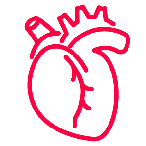 Coronary Artery Disease Icon