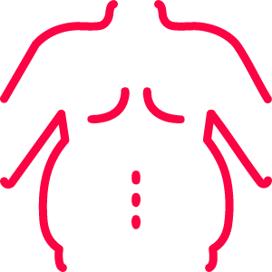 obesity icon